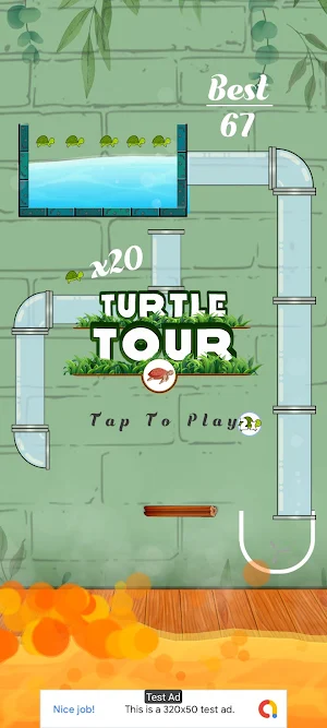 Turtle Tour Screenshot 0