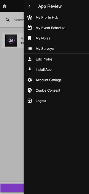 Miro Canvas Screenshot 2