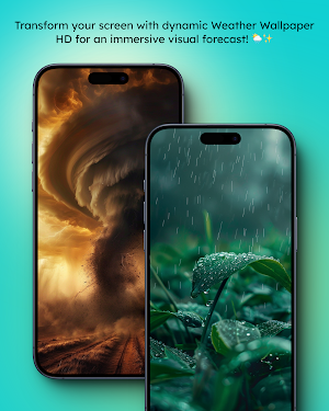 Weather Wallpaper HD Screenshot 2
