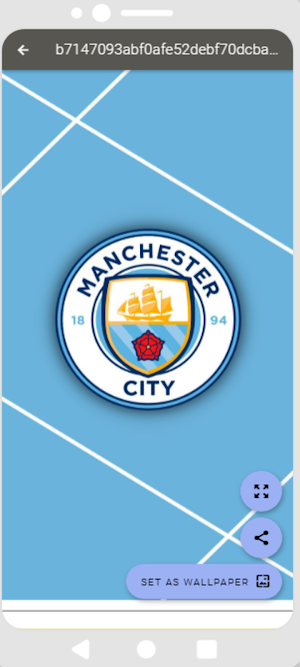 Manchester City HD Wallpapers Screenshot 2