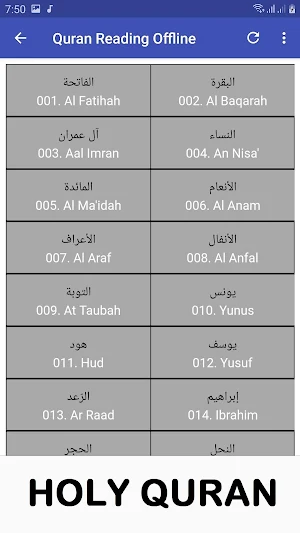 Ahmed Ajmi Full Quran Offline Screenshot 2