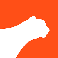 Cheetah VPN : Private & Safe