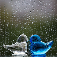 Soft Rain Sounds for Sleeping
