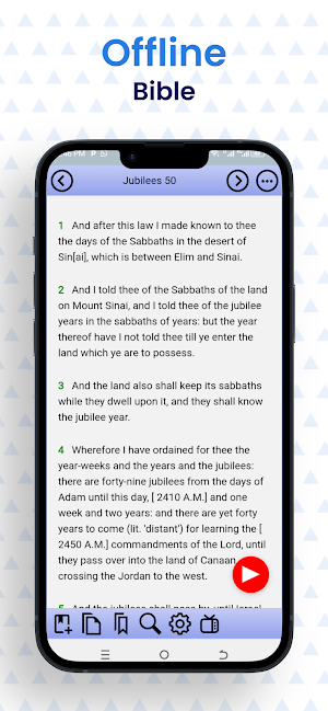 Bislama Pidgin Bible Screenshot 2