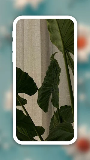 Flower Aesthetic Wallpaper Screenshot 3