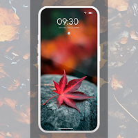 Maple Leaf Aesthetic Wallpaper