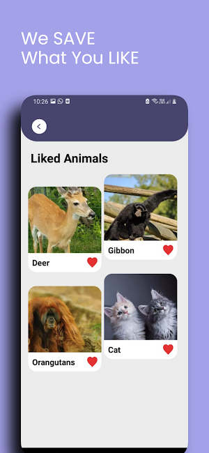 200+ Animal Sounds & Names Screenshot 3