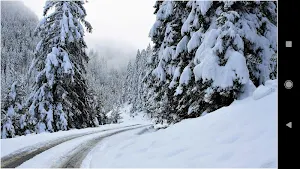 Switzerland Nature Wallpapers Screenshot 2