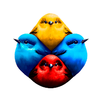 Polivoz