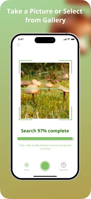 Picture Mushroom Screenshot 2