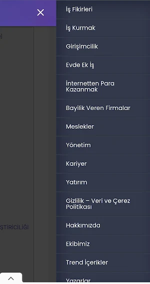 Yeni İş Fikirleri ve Girişimcilik Screenshot 3