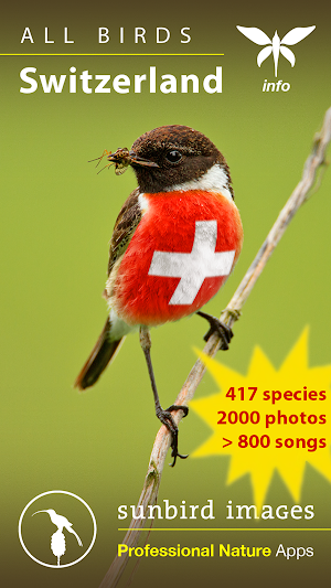 All Birds Switzerland Screenshot 0