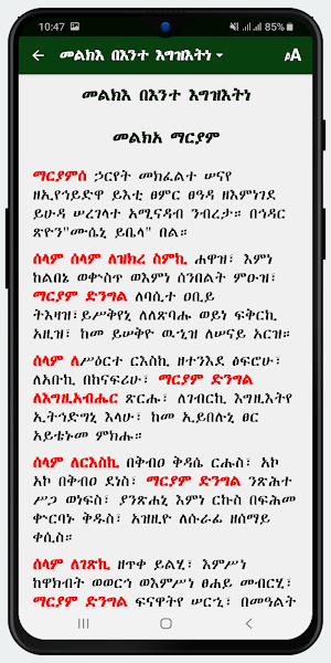 Melka Kidusan Lite Screenshot 3