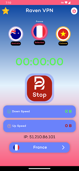 Raven VPN: Ultra Web Sentinel Screenshot 2