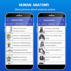 Gray's Anatomy - Anatomy Atlas 2020 Screenshot 2