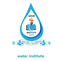 Water Institute