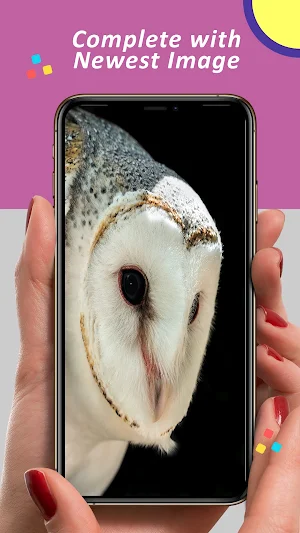 Owl Wallpaper Screenshot 2