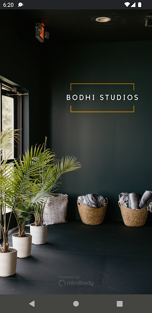 Bodhi Studios Screenshot 0
