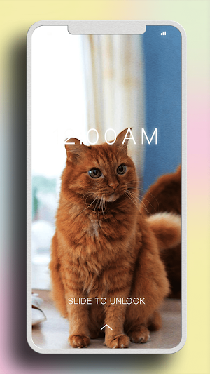Cat Cute Wallpaper Screenshot 1