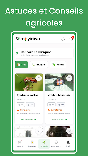Somo yiriwa Screenshot 2