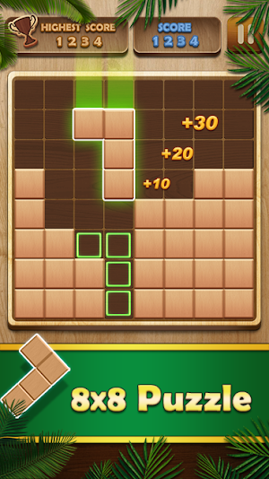 Wood Puzzle Mania - Block Puzzle Game Screenshot 3