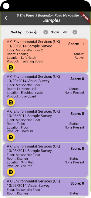 Assets Mobile Screenshot 1