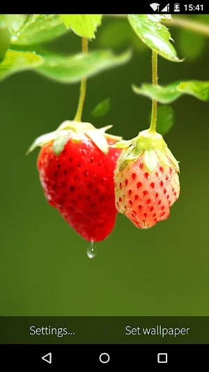 Red Strawberry Live Wallpaper Screenshot 3
