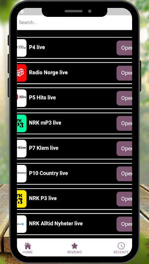 Radio Norvège FM Online Screenshot 3
