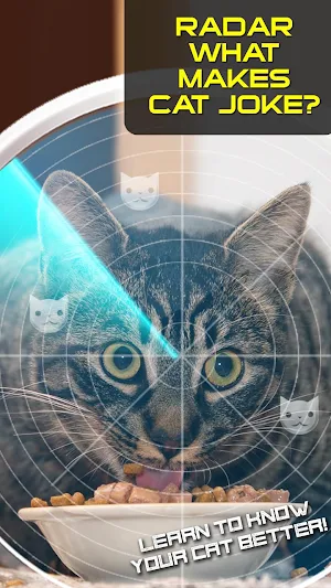 Radar What Makes Cat Joke Screenshot 2