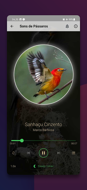 Todos os Sons de Pássaros Screenshot 2