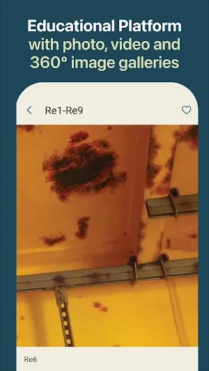 Coatings Radar Screenshot 3