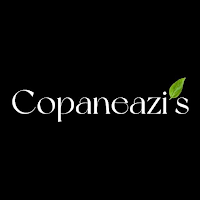 Copaneazi’s Pizza South