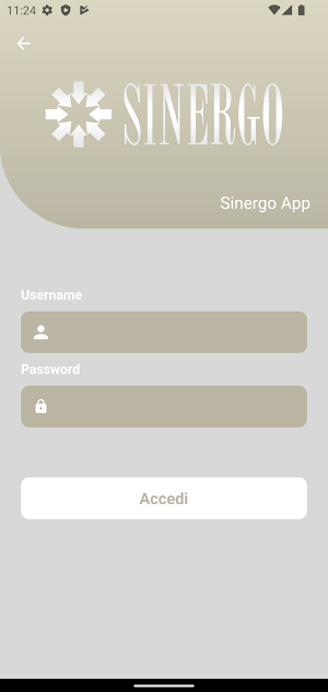 Sinergo Screenshot 2