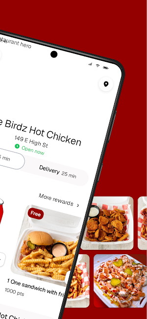 Fire Birdz Hot Chicken Screenshot 1