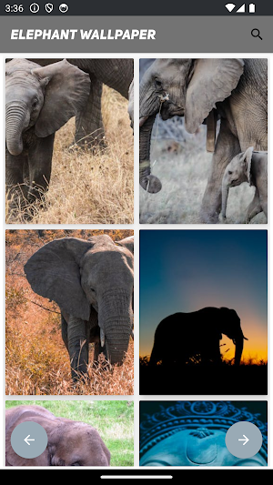 Elephant Wallpaper Screenshot 2
