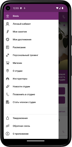 Bindu: йога и творчество Screenshot 2