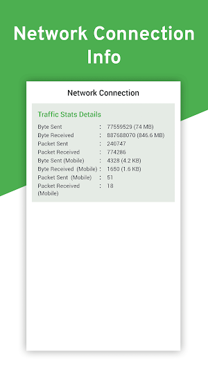 Netstat Network Interface Info Screenshot 2