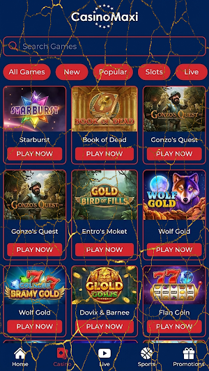 Casino Maxi Screenshot 0