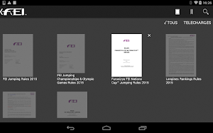 FEI RuleApp Screenshot 1