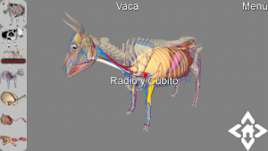 3D Cattle Explorer Screenshot 1