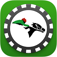 Lucky Horse Racing
