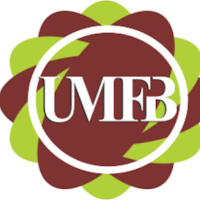 Unilag Mfb Mobile