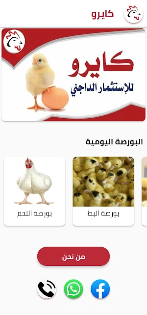 كايرو للإستثمار الداجني Screenshot 1