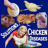 Poultry Diseases & Treatment