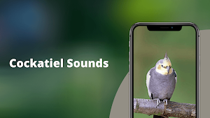 Cockatiel Sounds Screenshot 0