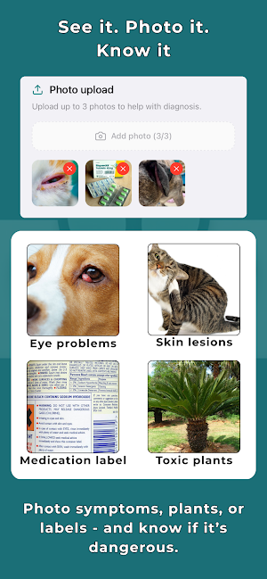 Triage Paw – AI Vet Assistant Screenshot 3