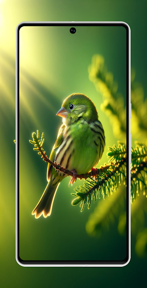 Cool Green Wallpapers 4K - HD Screenshot 2