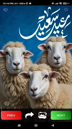 Eid Al Adha Wallpapers Screenshot 2