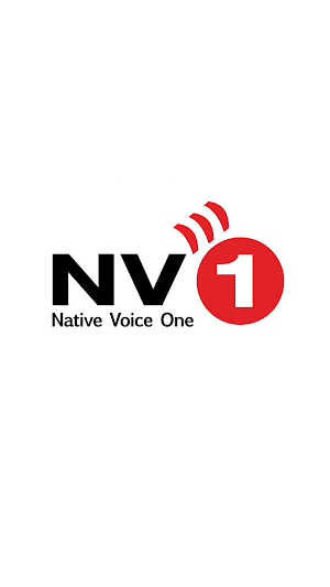 NV1 Screenshot 0