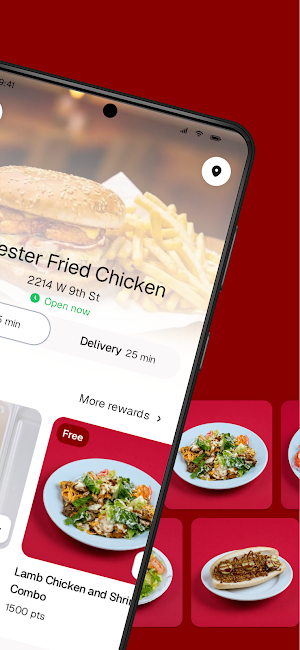 Chester Fried Chicken Screenshot 1